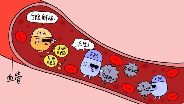 一种连减肥都得吃够的脂肪，真的对血脂、大脑、眼睛好！