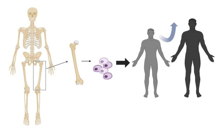 想让孩子长得高？吃对、睡足、多动、心情好，堪比遗传的重要性！