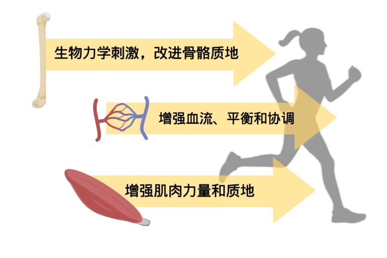 影响长高的因素有哪些