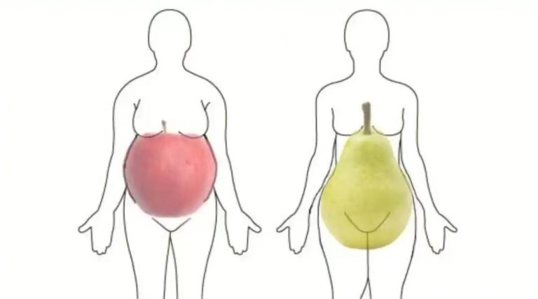 肚子上的肉越多，脑子越小，人越笨