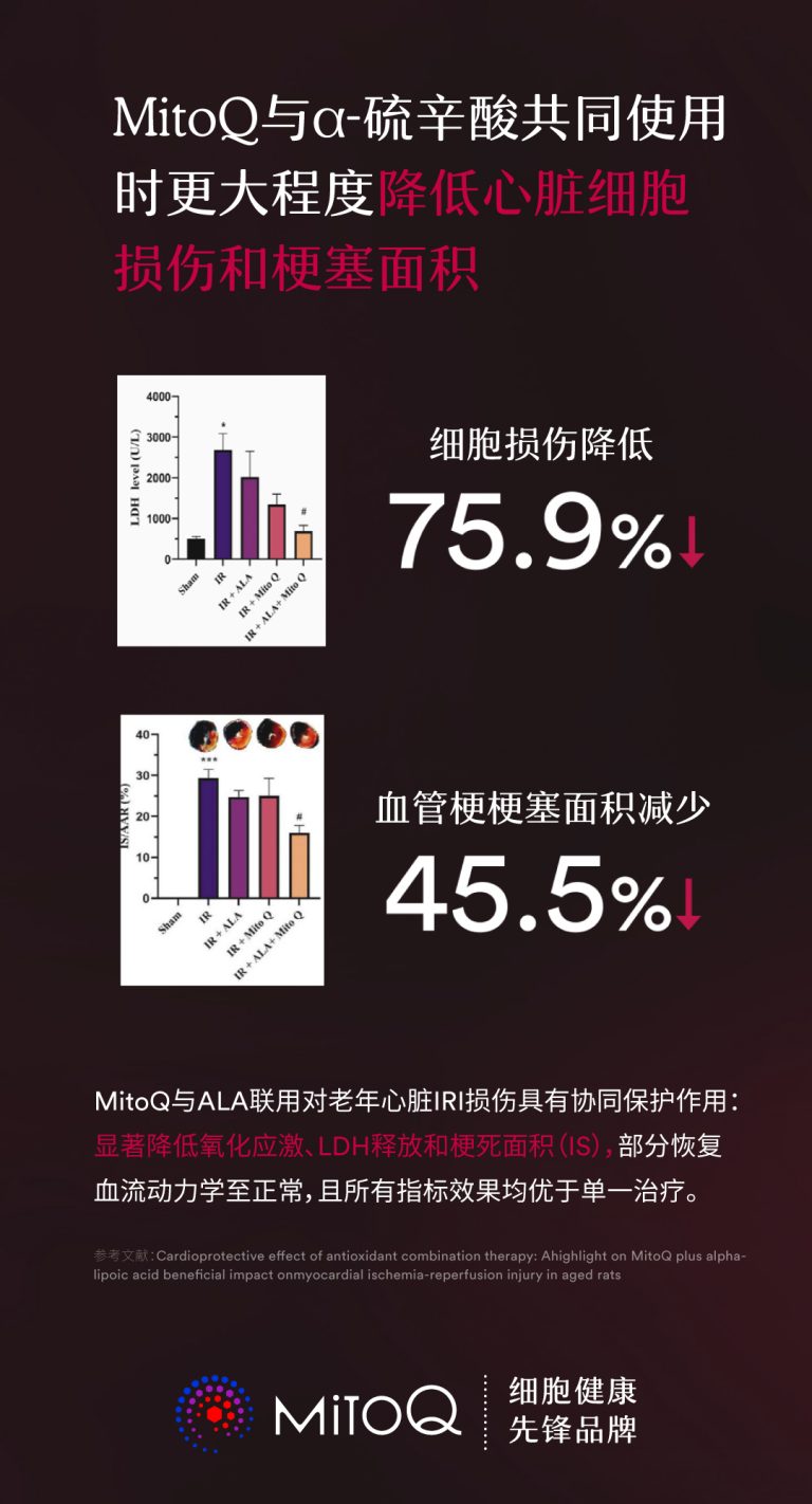 心脑血管的危机 – 线粒体的健康